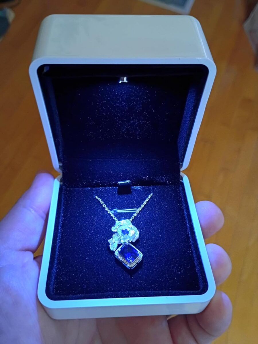 Image #9 from Joseph Verderame